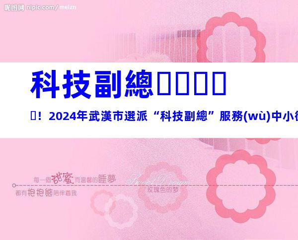 科技副總！2024年武漢市選派“科技副總”服務(wù)中小微企業(yè)申報條件、選派程序